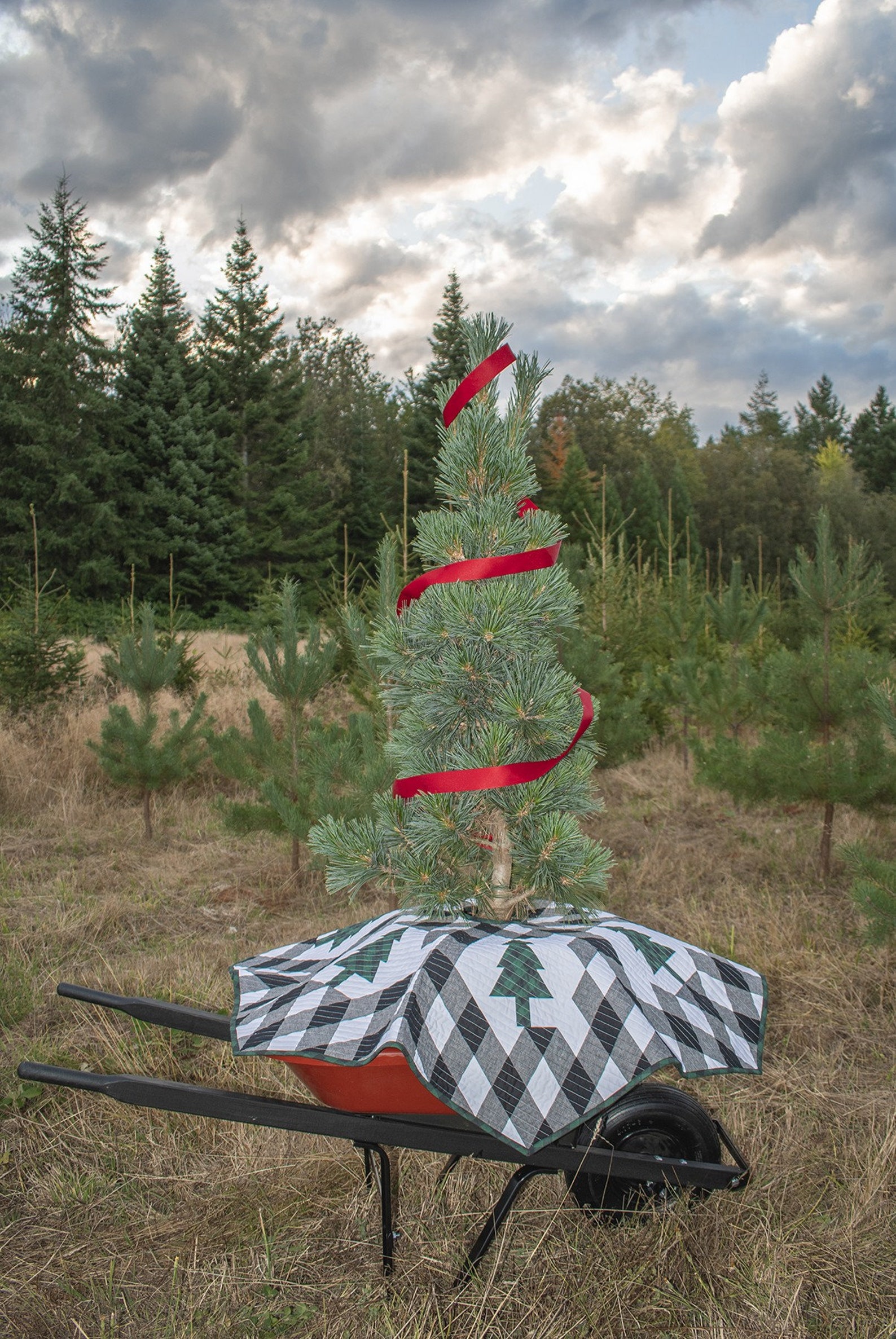Buffalo Lodge Tree Skirt Quilt Pattern Krista Moser the Etsy