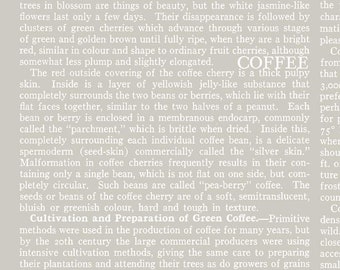 Coffee Chalk - Text Print - J. Wecker Frisch -C11039-TAUPE