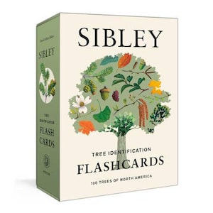 May include: A box of Sibley Tree Identification Flashcards. The front of the box features a tree illustration with various leaves, flowers, and fruits. Text on the box includes "Flashcards" and "100 Trees of North America."