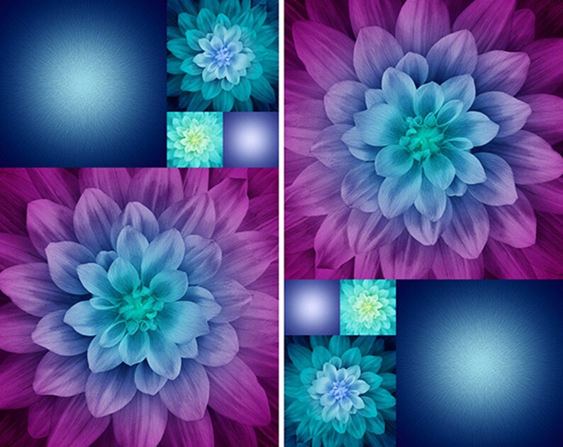 Hoffman Kablooms Dream Big Flower Panel In Stock Aurora Etsy