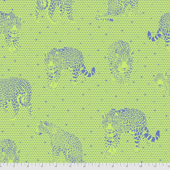 Daydreamer: Lil Jaguars in Kiwi Daydreamer: Lil Jaguars in Kiwi