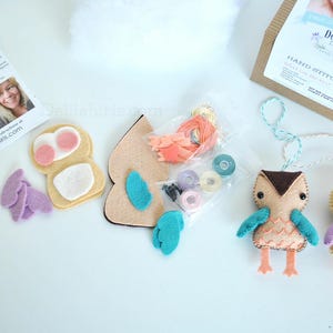 May include: A hand stitching kit with two felt owl ornaments, one with teal wings and one with purple wings. The kit includes felt pieces, embroidery floss, and instructions. The kit is packaged in a brown box with the text "Delicate Iris Designs" and "Hand Stitching Kit".