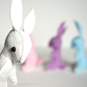 May include: A white felt bunny with black eyes stands in front of three other felt bunnies in pink, purple, and blue.