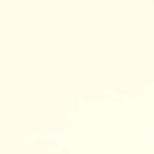 Shannon Fabrics - Minky Cuddle Fabric - Solid Cuddle 3 60&quot; Wide -Ivory - C3Ivory