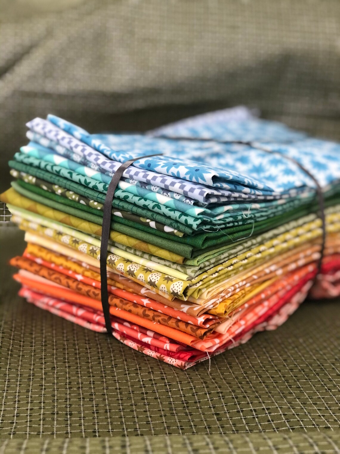 Dinosaurs Quilt KIT by Elizabeth Hartman Etsy