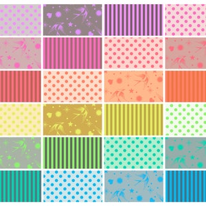 Tula Pink - Neon True Colors  Bundle - 24pc
