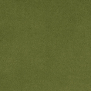 90&quot; Wide Back - Shannon Fabrics - Cactus - Minky Cuddle Fabric - Solid Cuddle 3 XL
