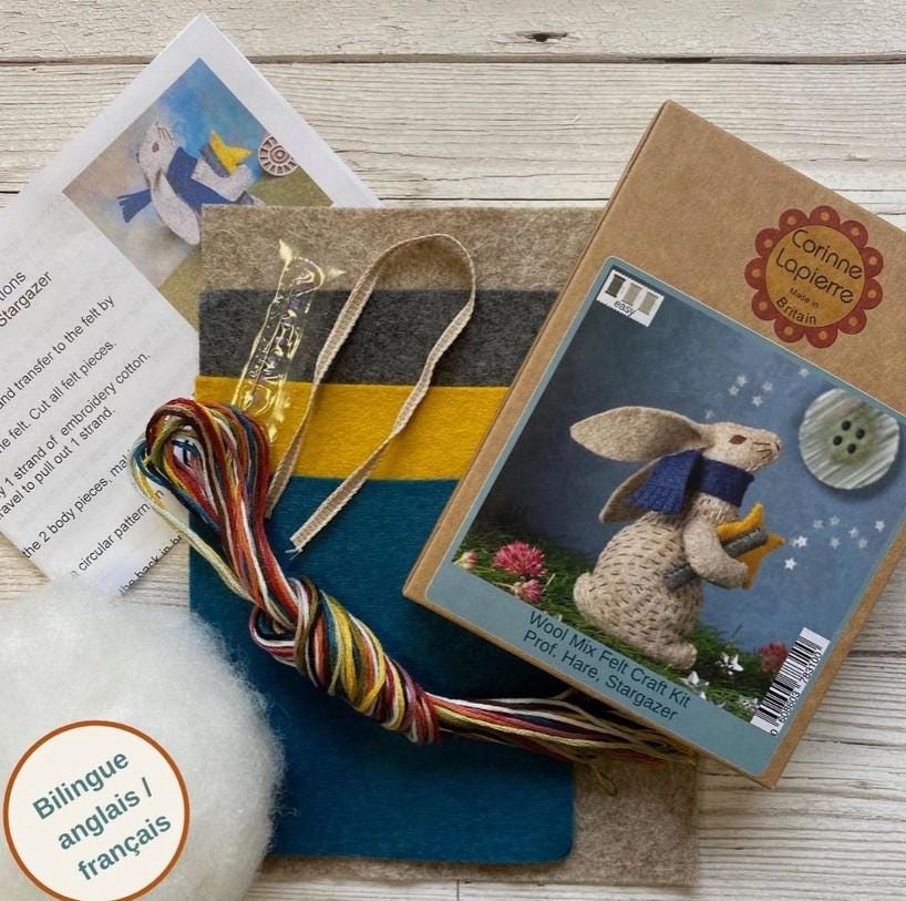Kit Artisanat Feutre Corinne Lapierre – Crée Un Lièvre Ou Lapin Mixte – Niveau Intermédiaire – Neuf UK