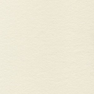 May include: A close-up of a textured, off-white paper surface. The paper has a slightly rough, matte finish, with subtle tonal variations. The texture is visible, suggesting a natural or handmade quality. The overall impression is of a clean, neutral background.