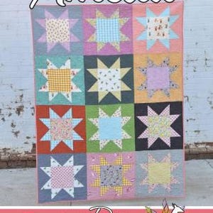 Pode incluir: Um padrão de colcha chamado "Amelia" de Running Doe Quilts para Villa Rosa Designs. A colcha é composta por 12 blocos, cada um com um design de estrela em um tecido diferente. Os tecidos são uma mistura de padrões florais, xadrez e geométricos em tons de rosa, azul, verde, amarelo e branco.