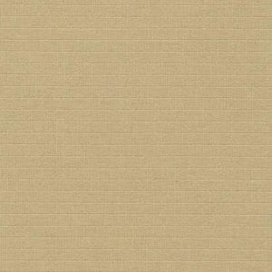 May include: A close-up of a tan fabric with a subtle, textured pattern. The fabric has a grid-like appearance with horizontal lines running across the surface, creating a sense of depth and dimension. The color is a warm, neutral tone.