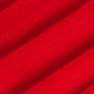 Tkanina Minky Czerwona C3 Shannon Fabrics 58/60&quot;