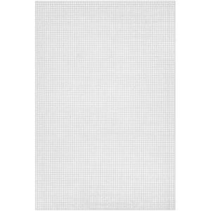 May include: White plastic canvas with a grid pattern. The canvas is used for needlepoint, cross-stitch, and other crafts.