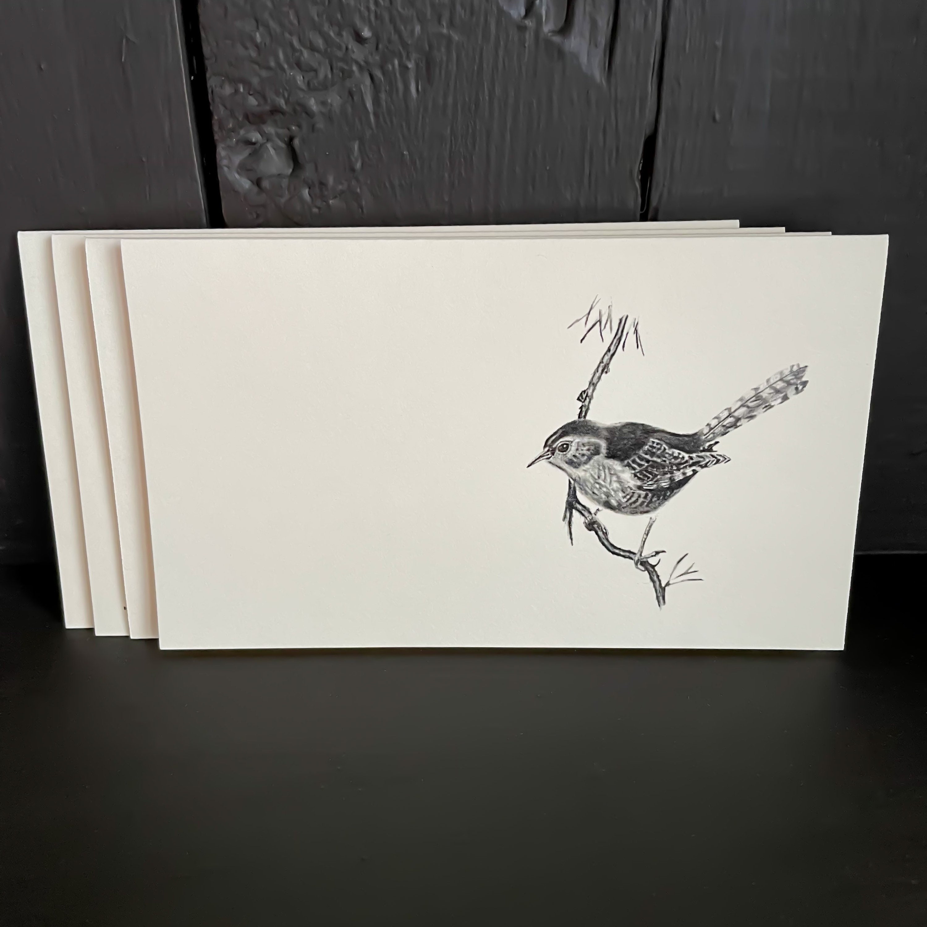 Bird Sketch Stationary Art Note Cards - Set of 4 in Envelopes