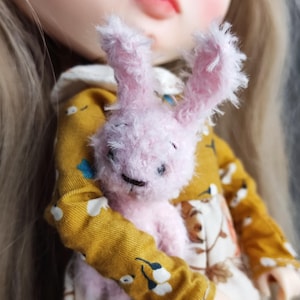 Blythe Doll Outfit: Spielzeughase, Kleidung & Accessoires