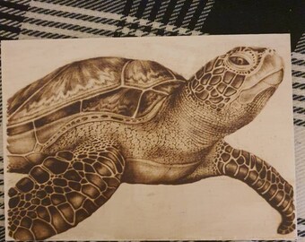 Wasserschildkröte, Holz verbrannt Pyrographie. (Größe A4)