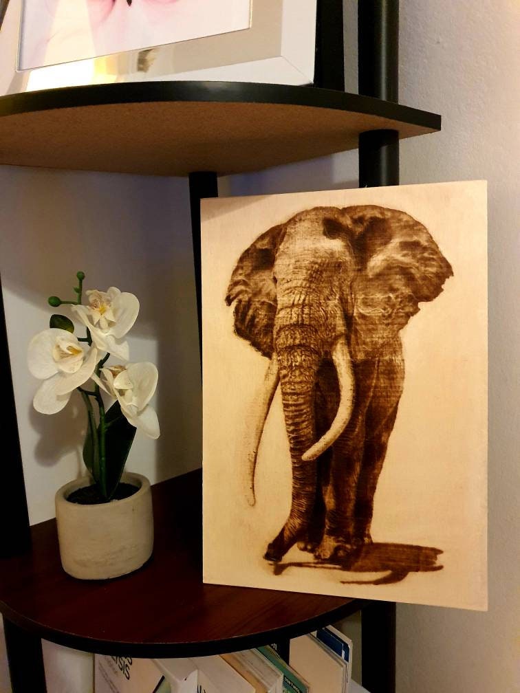 Elephant Image Burned on Wood Pyrography (A4 Size ) - Etsy