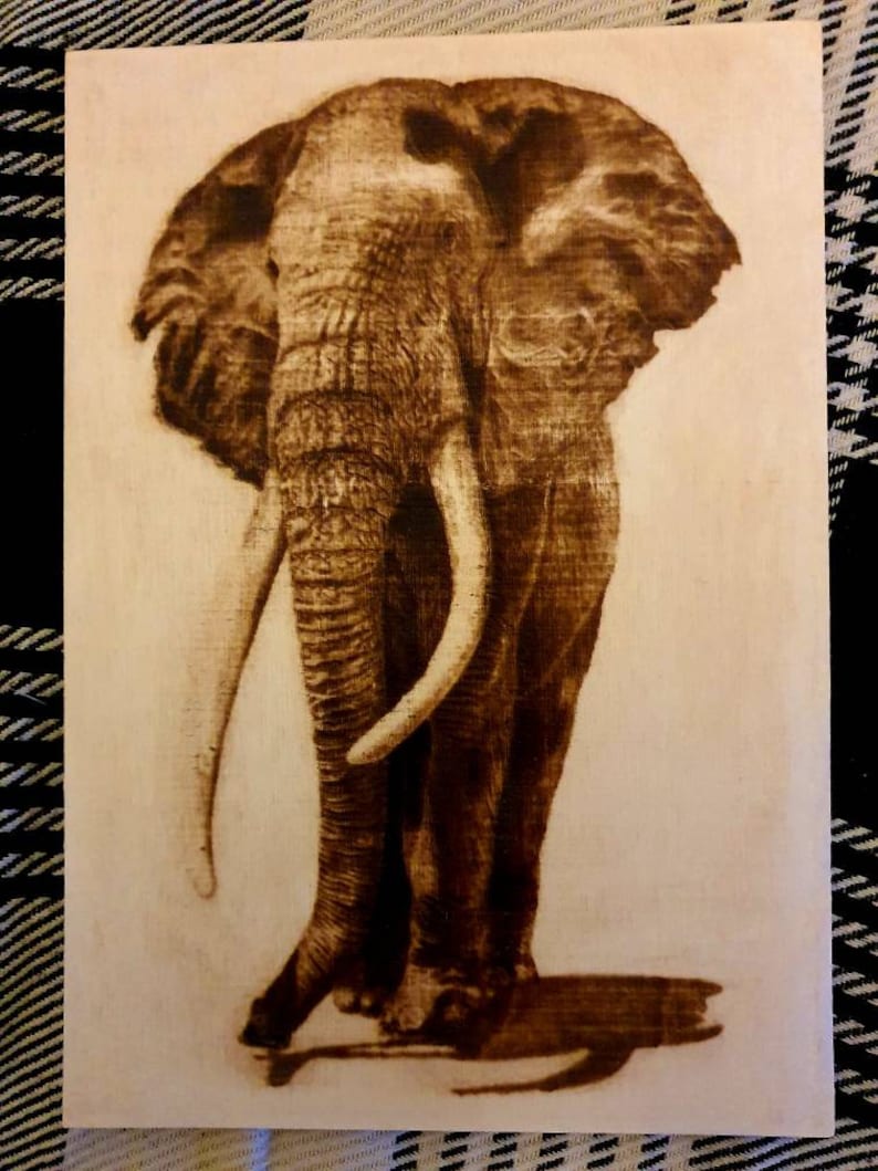 Elephant Image Burned on Wood Pyrography (A4 Size ) - Etsy