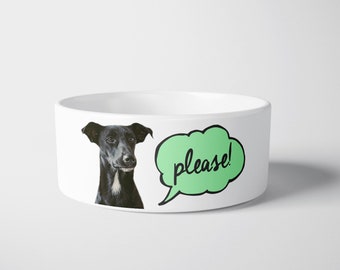 Personalised Pet Bowl, For Dog/Cat, Custom name, food/water bowl. Custom pet gift idea. Animal lover