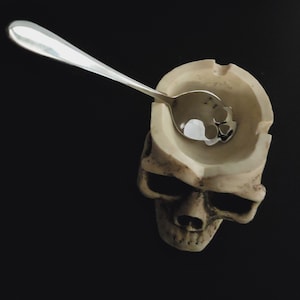 Silver Skull Spoon