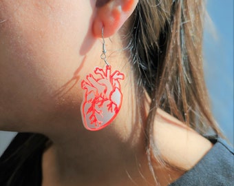 Könnte beinhalten: Rote anatomische Herzohrringe. Die Ohrringe sind transparent rot und haben ein detailliertes Design eines menschlichen Herzens. Die Ohrringe hängen an einem silbernen Haken.