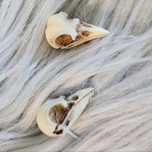Bird Skull Earrings