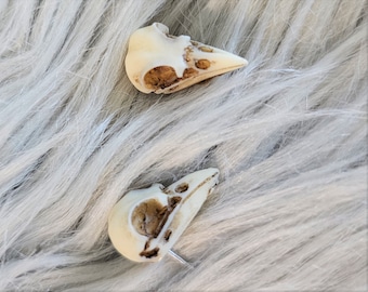 Pendientes de calavera de pájaro