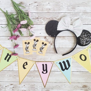 Vintage Style Disney World Banner - Party Zubehör Geburtstag Baby Shower Dekoration Rücken Drop Kinderzimmer Pastell Retro Wimpel Flagge Main Street