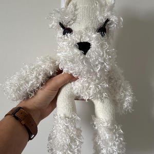 Light colored Schnauzer Sock Dog