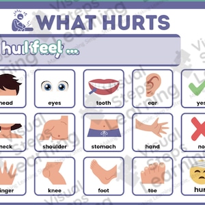 May include: Educational poster titled "What Hurts" with illustrations of body parts and pain indicators. Includes the words "head," "eyes," "tooth," "ear," "neck," "shoulder," "stomach," "hand," "finger," "knee," "foot," and "toe."