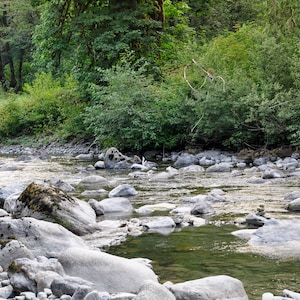 Summer River - Photo Print