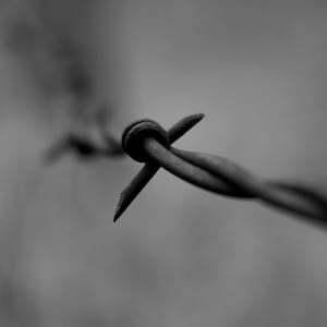 Barbed Wire Fence - Photo Print