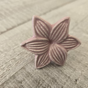 Puede incluir: Un pomo de cerámica rosa en forma de flor con un diseño detallado. El pomo es perfecto para agregar un toque de elegancia a cualquier cajón o armario.