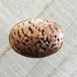 May include: Oval bronze cabinet knob with a textured surface. The knob has a dark brown and copper colour scheme, with a detailed, organic pattern across its face. Suitable for drawers and cabinets. (approx. 4 cm)