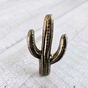 May include: A gold metal cactus shaped door knob or pull.