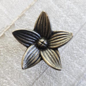 May include: A bronze-toned, five-petal flower-shaped decorative knob. The knob has a detailed, textured surface with a central, rounded core. The petals are ribbed, and the overall design is symmetrical.