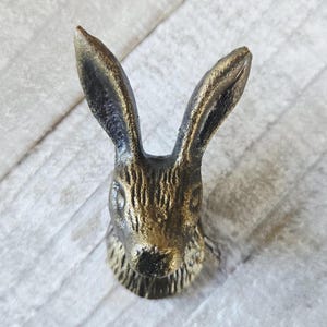 May include: A bronze-effect rabbit head sculpture with long ears and detailed fur texture. The sculpture is mounted on a light-coloured wooden surface. The rabbit head is a decorative item.
