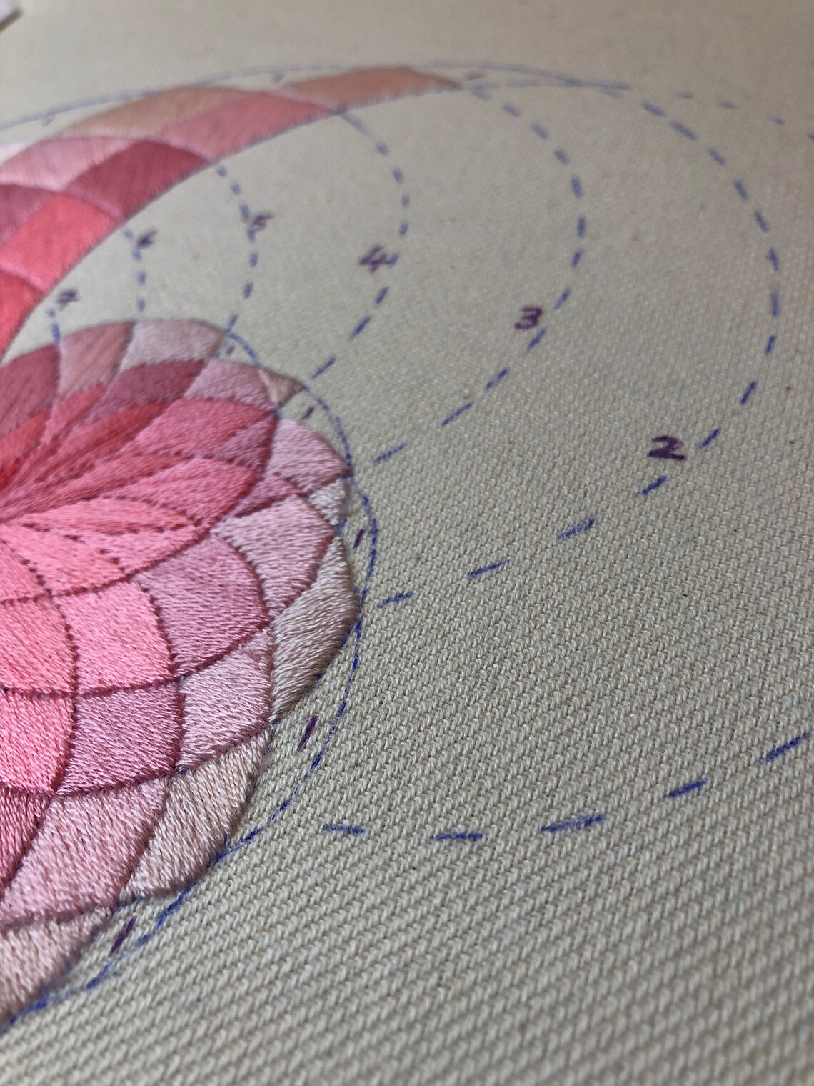 Nautilus Shell Embroidery Pattern - Etsy Australia