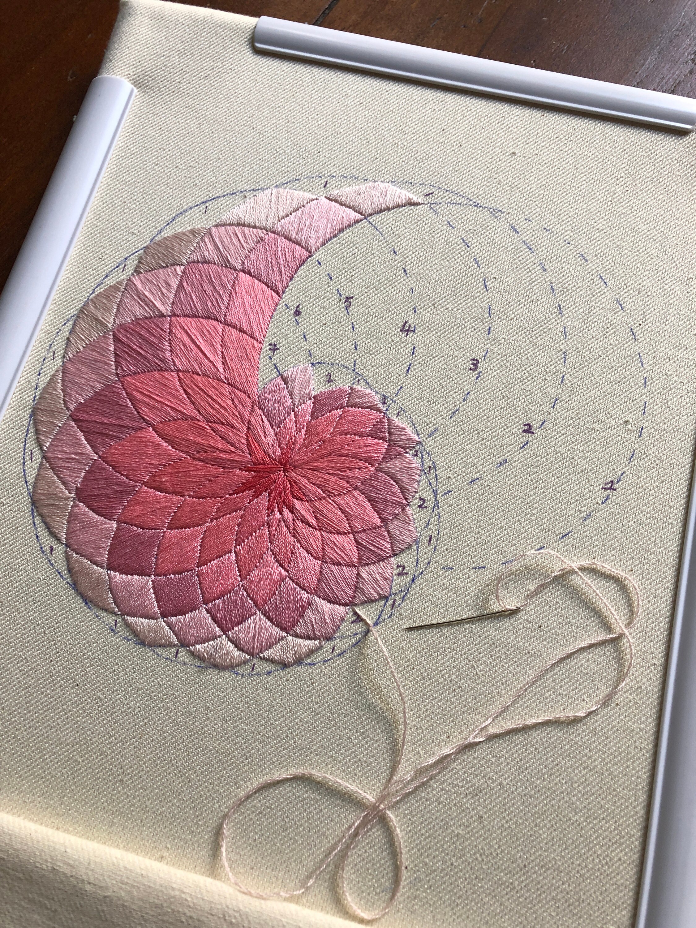 Nautilus Shell Embroidery Pattern - Etsy Australia