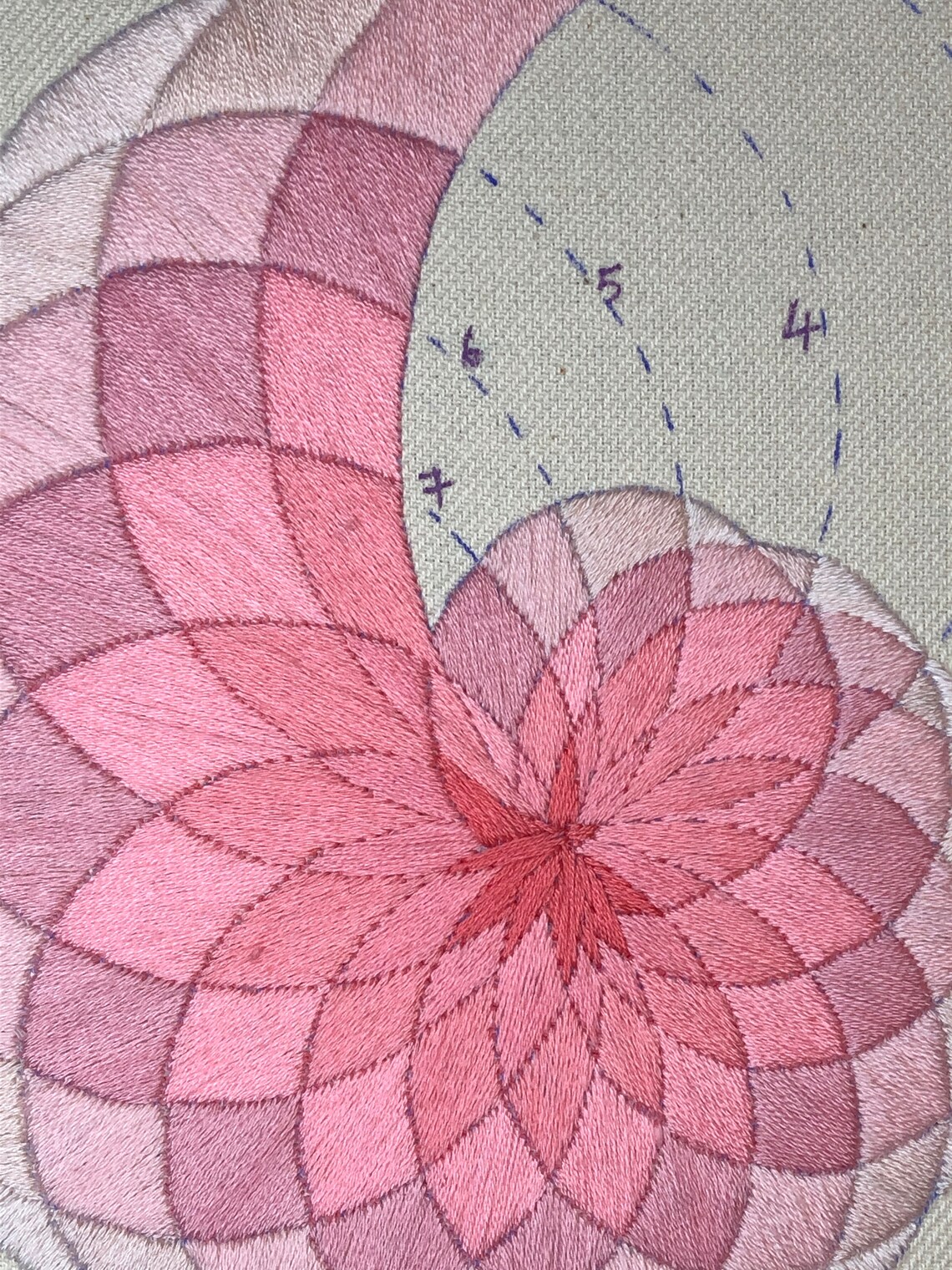 Nautilus Shell Embroidery Pattern - Etsy Australia