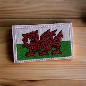 Può includere: Una toppa bianca con un drago rosso su sfondo verde e bianco. La toppa ha un bordo bianco con un bordo cucito.