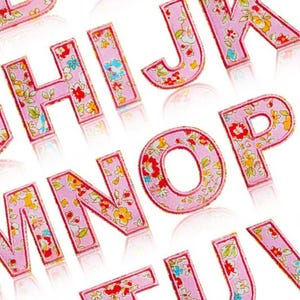 Parches con letras y flores rosas, 5 cm, para planchar o coser, para bordar en ropa, parches multicolor