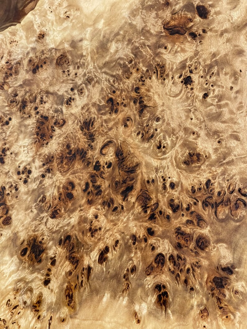 Mappa Burl Wall Art. image 3