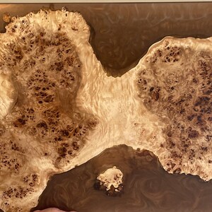 Mappa Burl Wall Art. image 2