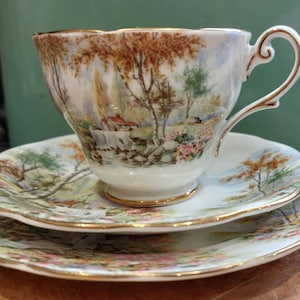 May include: A white teacup and saucer set with a floral pattern. The teacup has a gold rim and a handle. The saucer has a gold rim and a floral pattern.
