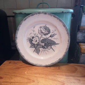 Antique Victorian 1870 JMP Bell " Moss Rose " earthenware dinner plate. Glasgow Pottery.