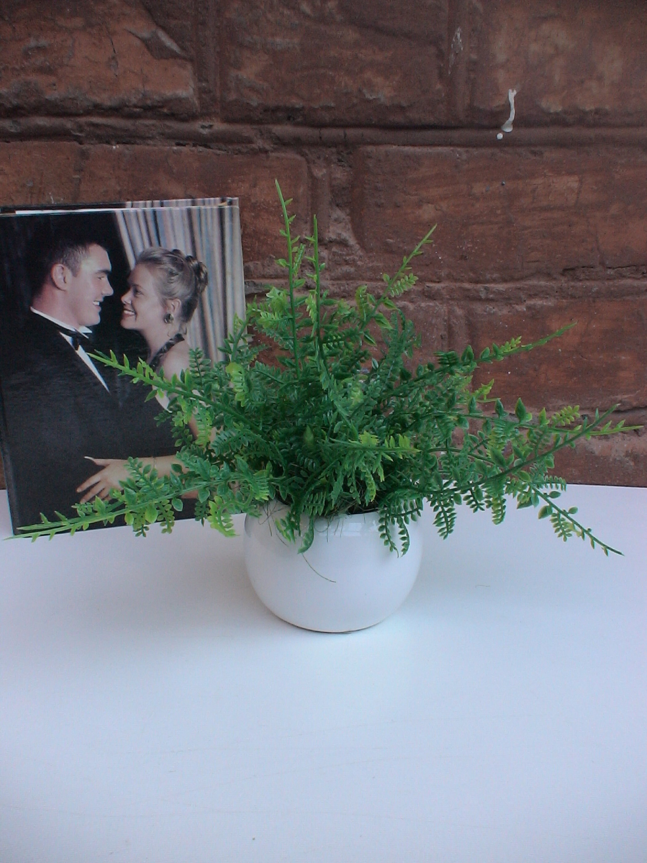 Artificial Fern in a White Ceramic Pot Country House Decor. Etsy