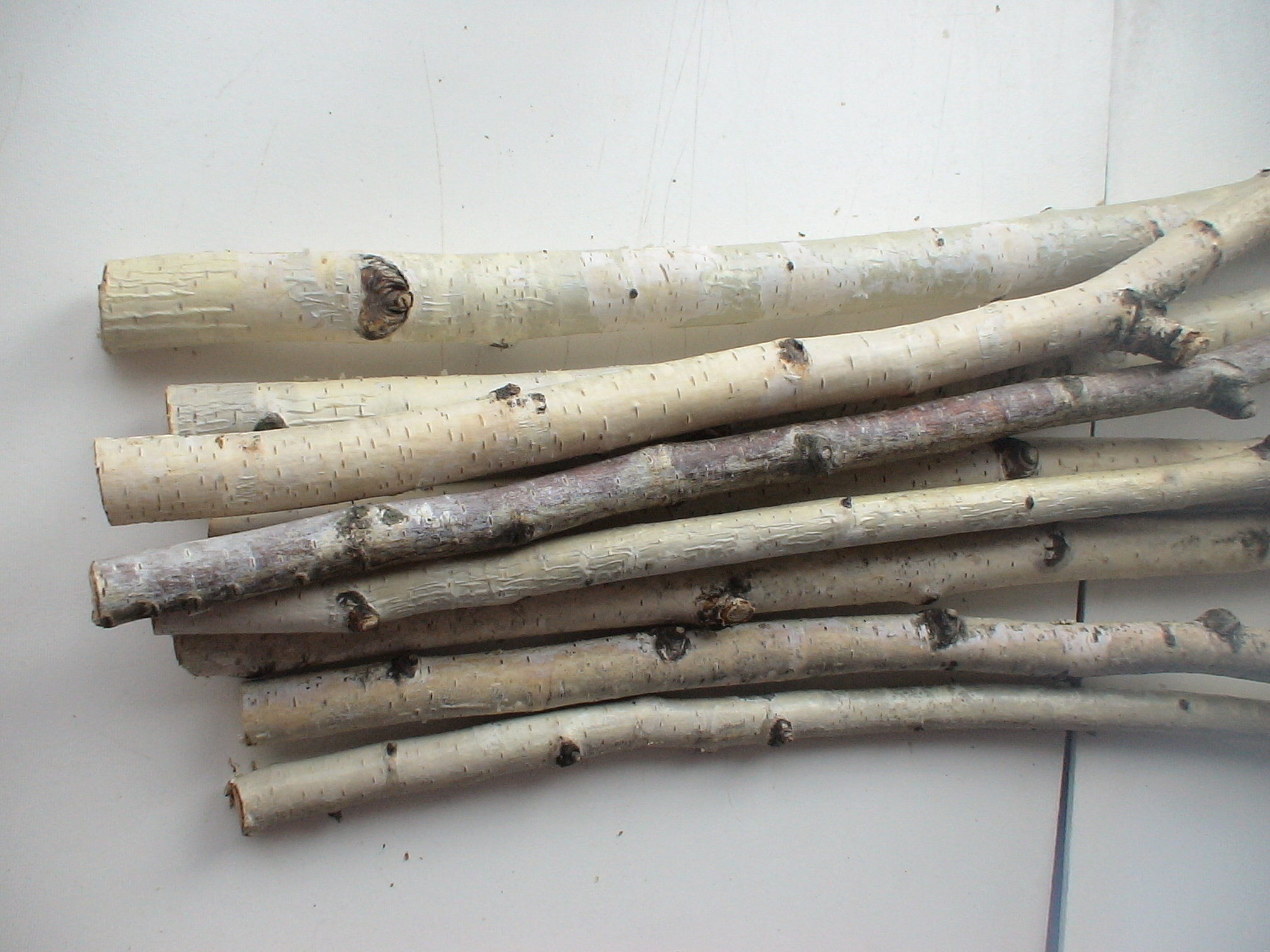 Natural dried birch branches Birch logs 9 pcs Etsy