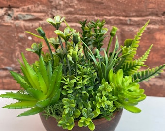 Piante grasse in vaso, terrari succulenti, piante artificiali, arredamento moderno