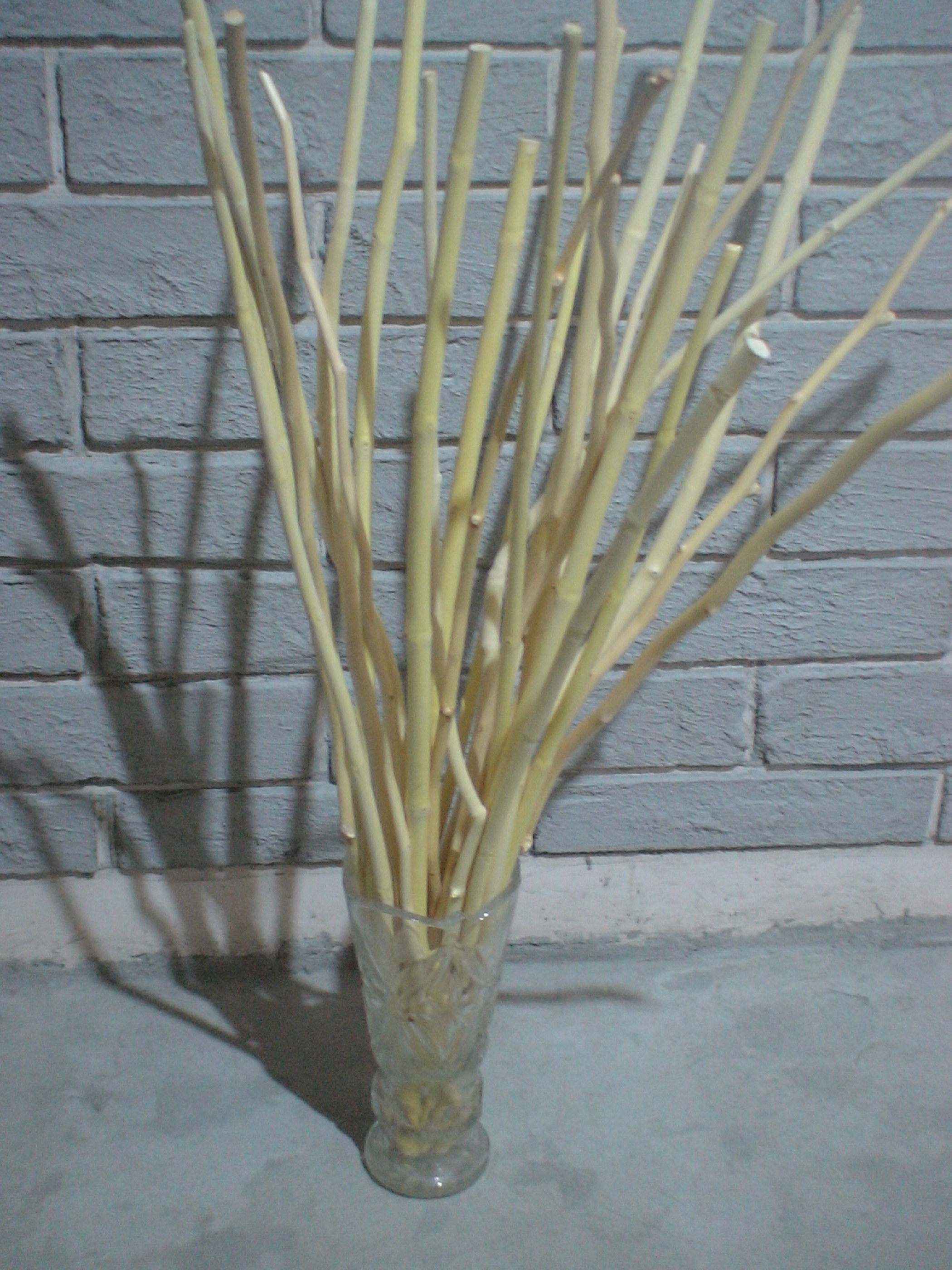 Natural Dried Maple Sticks Vase Fillers 25 pcs Etsy